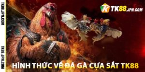 Thông tin chung về hình thức đá gà cựa sắt hút khách